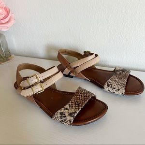 Clarks | Indira Rue Python Sandals